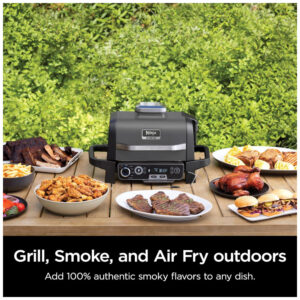 Grill e Defumador Portátil 7 em 1 com Termômetro Embutido, 110V Ninja OG751BRN Woodfire, Cinza