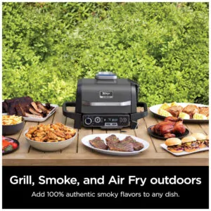 Grill e Defumador Portátil 7 em 1 com Termômetro Embutido, 110V Ninja OG751BRN Woodfire, Cinza