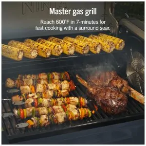 Grill Ninja PG301BL FlexFlame Azul 5 em 1 Defumador 3 Queimadores Tecnologia Woodfire 120V