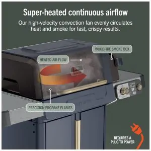 Grill Ninja PG301BL FlexFlame Azul 5 em 1 Defumador 3 Queimadores Tecnologia Woodfire 120V