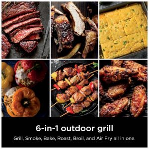 Churrasqueira Elétrica Ninja Woodfire Outdoor Grill Smoker 6 em 1 OG321 1760W 110V