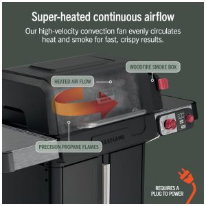 Churrasqueira Ninja FlexFlame 3 Queimadores Gás Propano e Elétrica 5 em 1 Preta 400W 110V