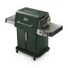 Churrasqueira Ninja FlexFlame 3 Queimadores Gás Propano e Elétrica 5 em 1 Verde 400W 110V