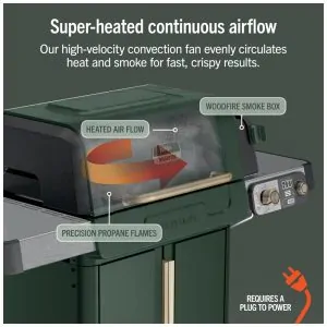 Churrasqueira Ninja FlexFlame 3 Queimadores Gás Propano e Elétrica 5 em 1 Verde 400W 110V