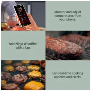 Grill Ninja FlexFlame PG305 ProConnect Sistema Inteligente 5 em 1 Preto Dourado 120V
