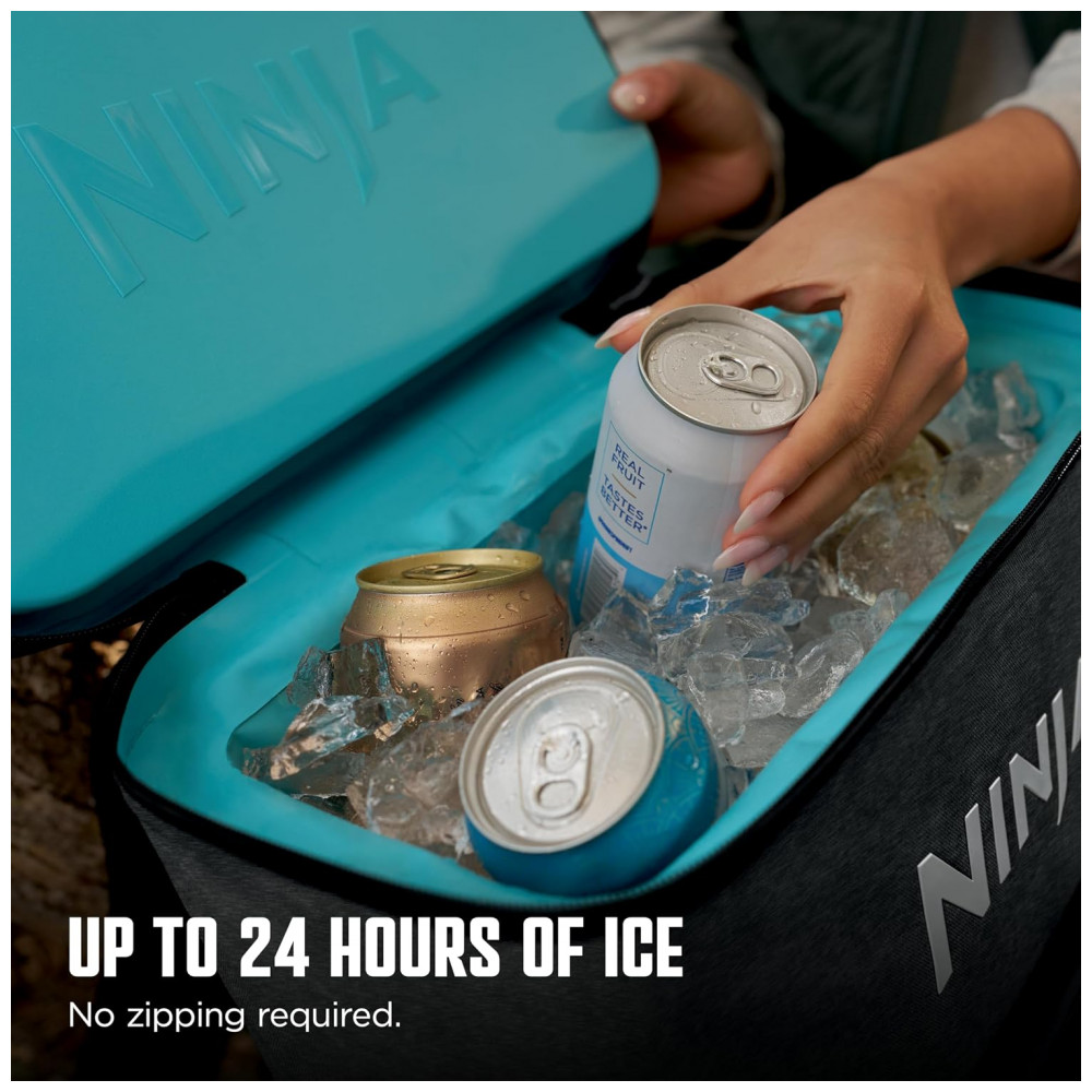 Mochila Ninja FrostVault Go Soft gelados. Armazenamento a seco. Cinza Carvão Cinza Escuro 24 Lata
